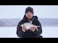 Скачать Ловля крупного ЛЕЩА зимой на мормышку. Рыбалка на льду на летнюю прикормку