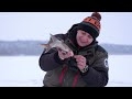 Смотреть Ловля крупного ЛЕЩА зимой на мормышку. Рыбалка на льду на летнюю прикормку